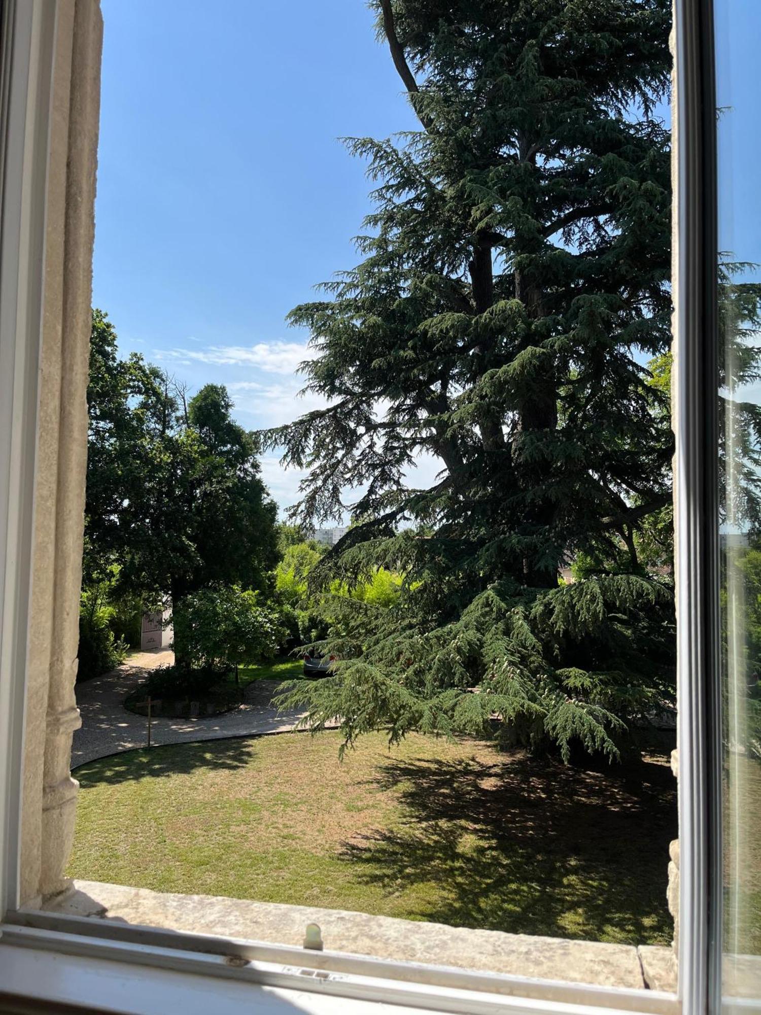 Le Clos du Cèdre Saint-Ouen  Esterno foto